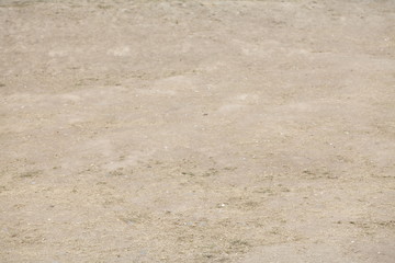 Vertrocknete Braune Rasenfläche, Dürre