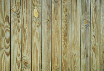 Fototapeta premium Wood fence texture
