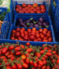 Different variety of tomatoes sold in a weekly market