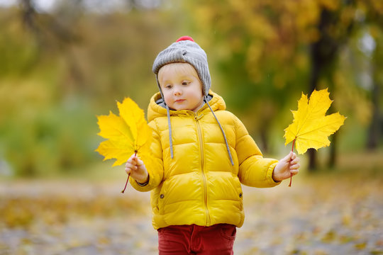 Little child walking in the city park at autumn day