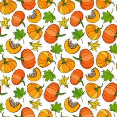 Seamless Endless Pattern of Pumpkin and Maple Leaves. Orange Pumpkins, Flower, Seeds. Autumn or Fall Vegetable Harvest Collection. Realistic Hand Drawn High Quality Vector Illustration. Doodle Style.
