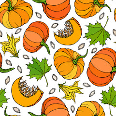 Seamless Endless Pattern of Pumpkin and Maple Leaves. Orange Pumpkins, Flower, Seeds. Autumn or Fall Vegetable Harvest Collection. Realistic Hand Drawn High Quality Vector Illustration. Doodle Style.