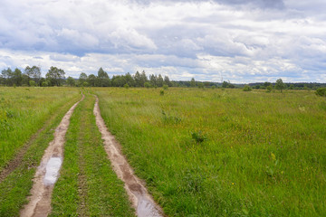 Vanishing dirt road with deep rut and puddles in meadow.