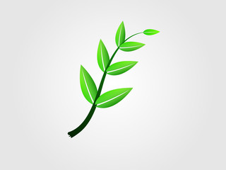 A beautiful plant with leaf logo vector illustration of nature
