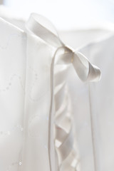 White Bridal Dress Back Knot and Lace Details Backlit