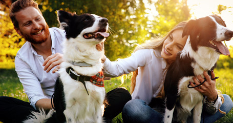 Beautiful couple cuddling and walking dogs outdoors