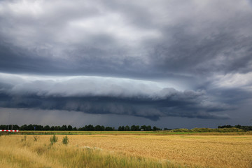 Fototapeta na wymiar Thundercloud over the summer field
