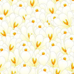 White Crocus Flower Seamless Background