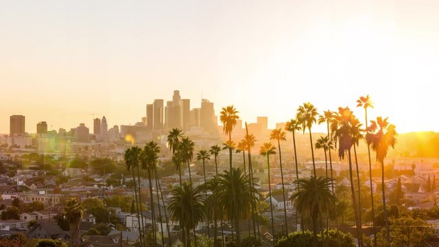 Downtown Los Angeles and Palm Trees at Sunset TimeSlice Timelapse