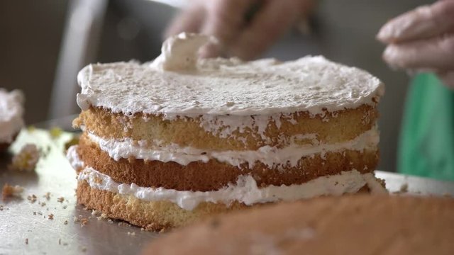 Icing the fruit cake. Woman is covering layered sponge cake by white buttercream. Yummy creamy pastry with fruits.