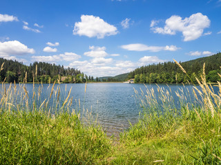 Talsperre Scheibe-Alsbach, See Thüringen