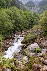 Quelle in den Bergen