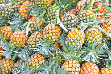 Pineapple in market, Bangkok, Thailand.