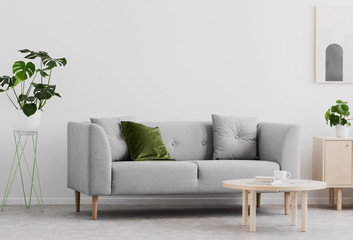 Plant next to grey couch in white living room interior with wooden table and poster. Real photo