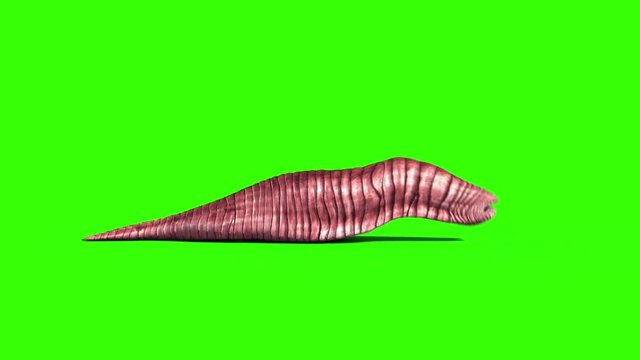 Giant Worm Monster Attacks Side Green Screen 3D Rendering Animation