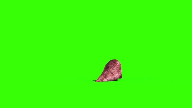 Giant Worm Monster Crawl Back Green Screen 3D Rendering Animation