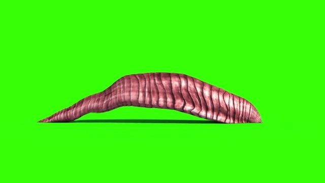 Giant Worm Monster Crawl Side Green Screen 3D Rendering Animation