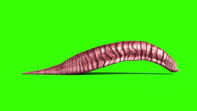 Giant Worm Monster Crawl Loop Side Green Screen 3D Rendering Animation