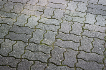 paving slab close-up, texture, background