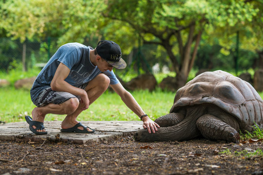 young men with cappy petting a giant galappagos tortoise in mauritius