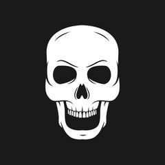skull on a pirate flag. Hand drawn skulls.