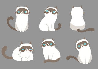 Set of cats in different poses on grey background. Vector illustration character design.