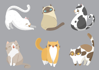 Set of cats in different poses on grey background. Vector illustration character design.