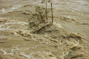 Flooding on a mountain river after heavy rains