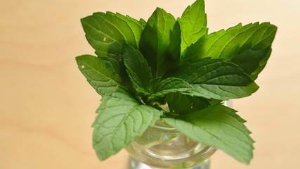 gesundheit durch essen