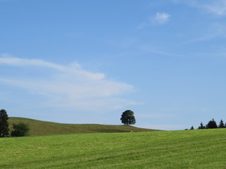 Besinnliche Natur