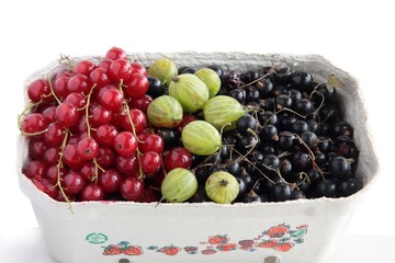 red ,green and black fruits for cookiing compote