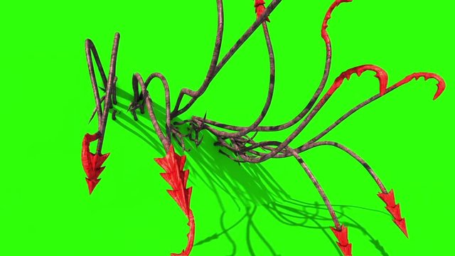 Monstrous Hooked Tentacles Wall Front Green Screen 3D Rendering Animation