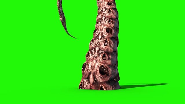 Tentacle Monster Octopus Green Screen 3D Rendering Animation