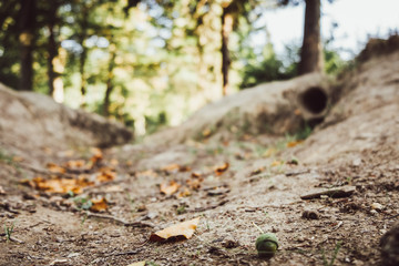 Ausgetrockneter Bach im Wald durch sommerliche Hitzeperiode