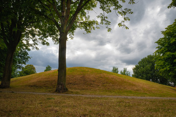 Trees with the pedestrian walk in the foreground and with hill and blue sky with clouds in the background