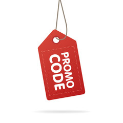 Obraz na płótnie Canvas Promo code, coupon code. Flat vector set design illustration on white background