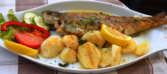 Knusprig gebratene Forelle mit Kartoffeln und Salat angerichtet auf einem weißen Teller