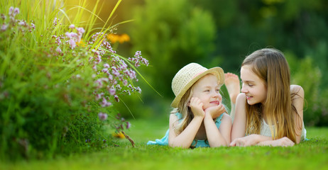 Two cute little sisters having fun together on the grass on a sunny summer day.