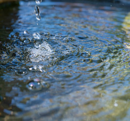 Fototapeta premium Wassertropfen fallen in das Wasser