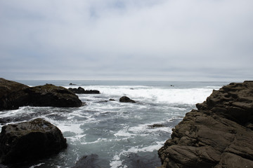 Cambria shore