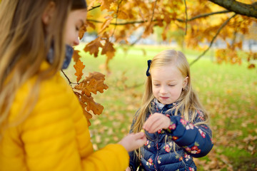 Two cute little girls having fun on beautiful autumn day. Happy children playing in autumn park....