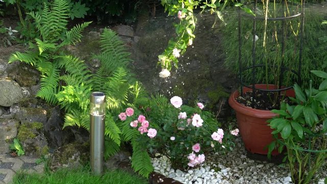 Wasser aus einem Gartenschlauch gie&szlig;t die Pflanzen im Garten. Nahaufnahme mit original Ton.