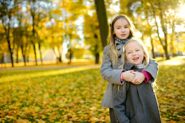 Two cute little girls having fun on beautiful autumn day. Happy children playing in autumn park. Kids gathering yellow fall foliage.