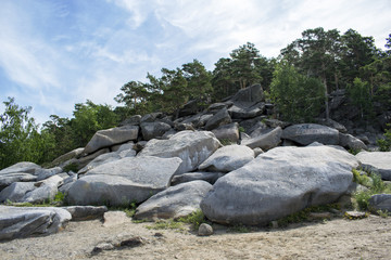 Fototapeta na wymiar mountain landscape of stones and spruce