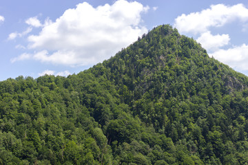 Mountain and forest landscape