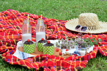 Summertime picnic setting on the green grass with chocolate muffins and milkshake