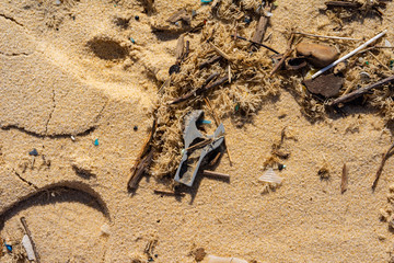 Pollution on the coast