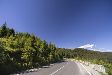 Fototapeta premium Asphalt road going into the mountains through pine forests
