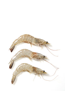 Raw Fresh Tiger Shrimp On White