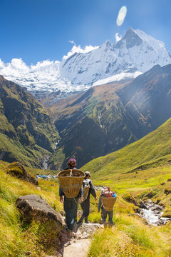 Porters carrying doko baskets, Annapurna, Himalayas, Nepal